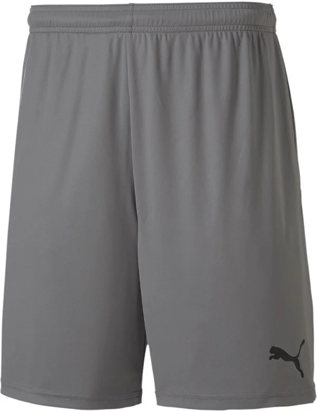 PUMA TEAMGOAL 23 KNIT SHORTS-GREY